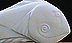 go to enlarged image