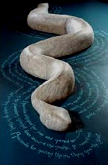 image of the snake