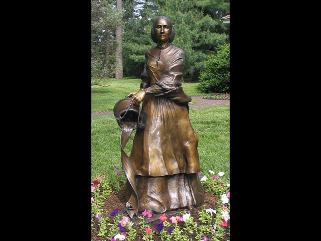 Bringing Forth Beauty - Caroline Morton