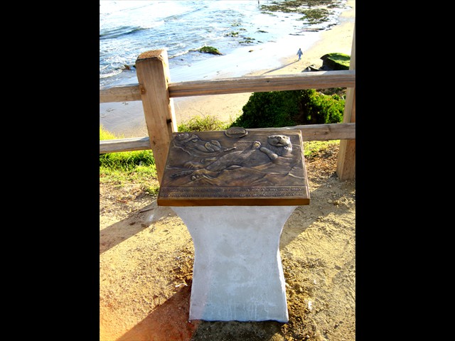 Pleasure Point Park, Santa Cruz - sea otters