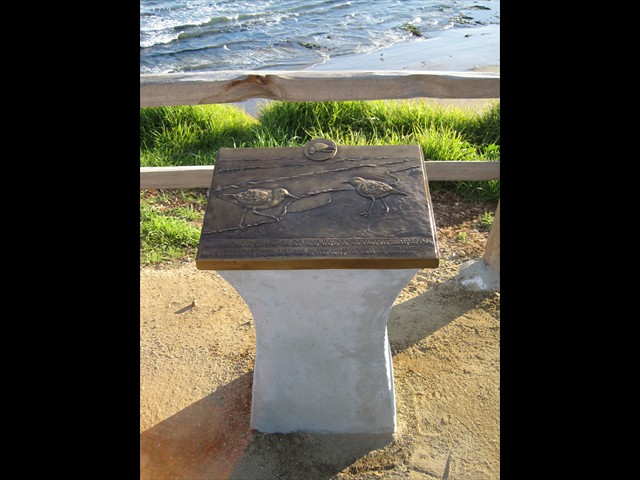 Pleasure Point Park, Santa Cruz - shoreline birds